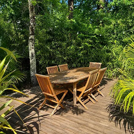 Belle Maison Calme, Sans Vis-a-vis, Piscine Et Grand Jardin Arbore * Lege-Cap-Ferret